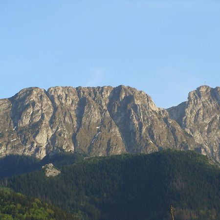 Jedrus Villa Zakopane Ngoại thất bức ảnh