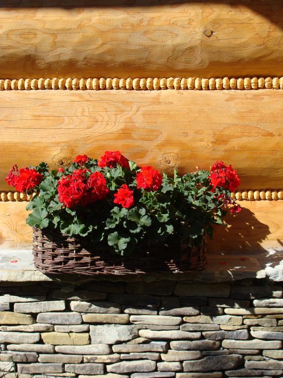 Jedrus Villa Zakopane Phòng bức ảnh