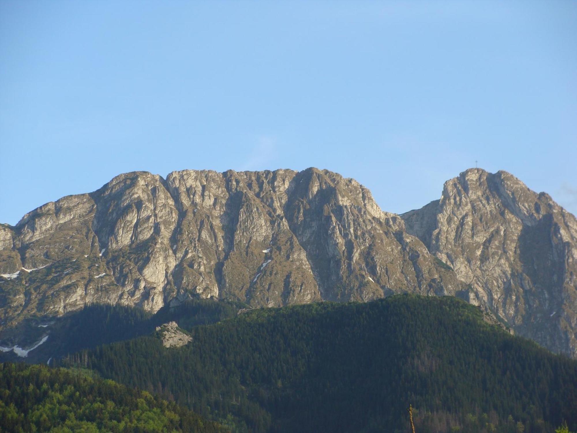Jedrus Villa Zakopane Ngoại thất bức ảnh